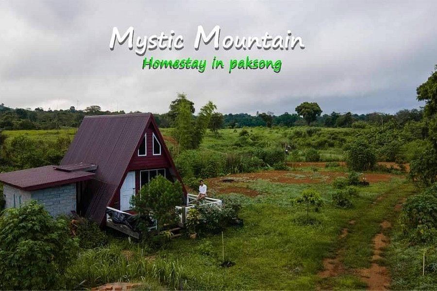 Mystic Mountain Coffee image