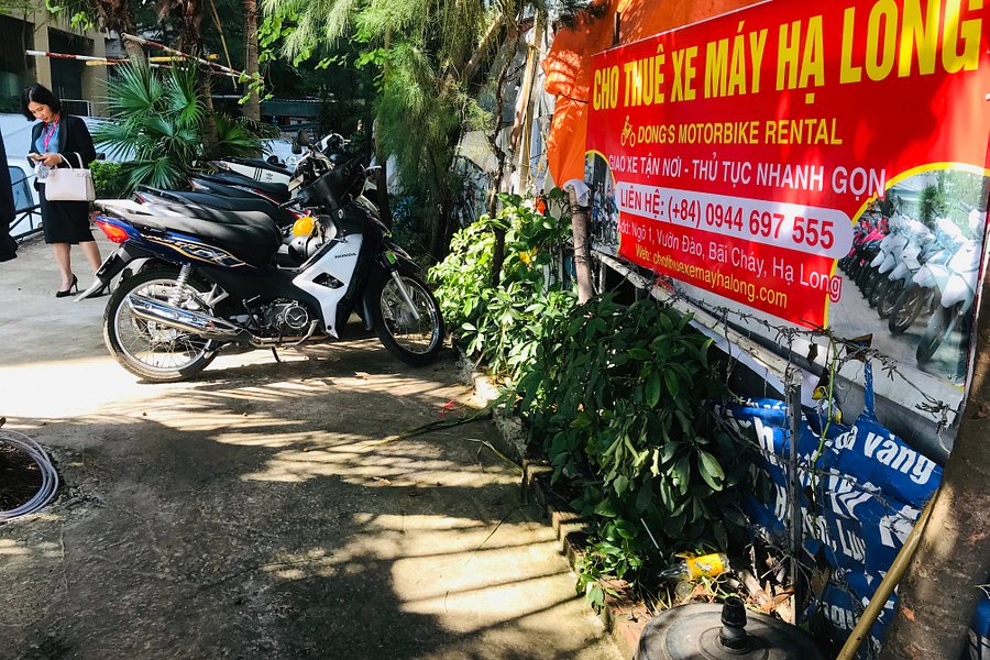 Cho Thue Xe May Ha Long - Đông's Motorbike image