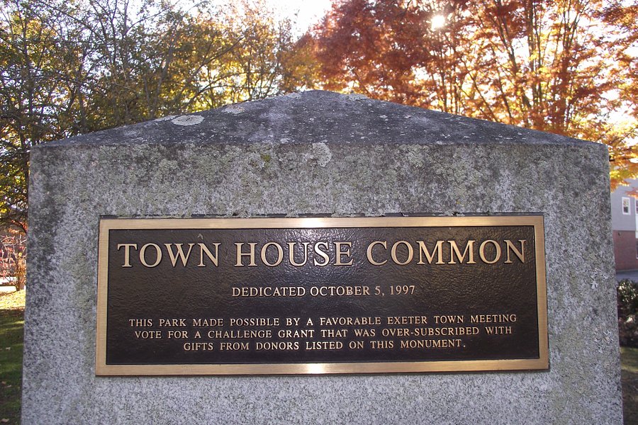 Town House Common image