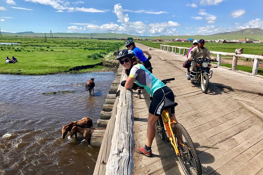 Cycle Mongolia image