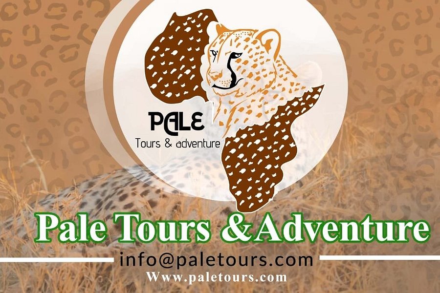 Tanzania wild travels adventure and Safaris image