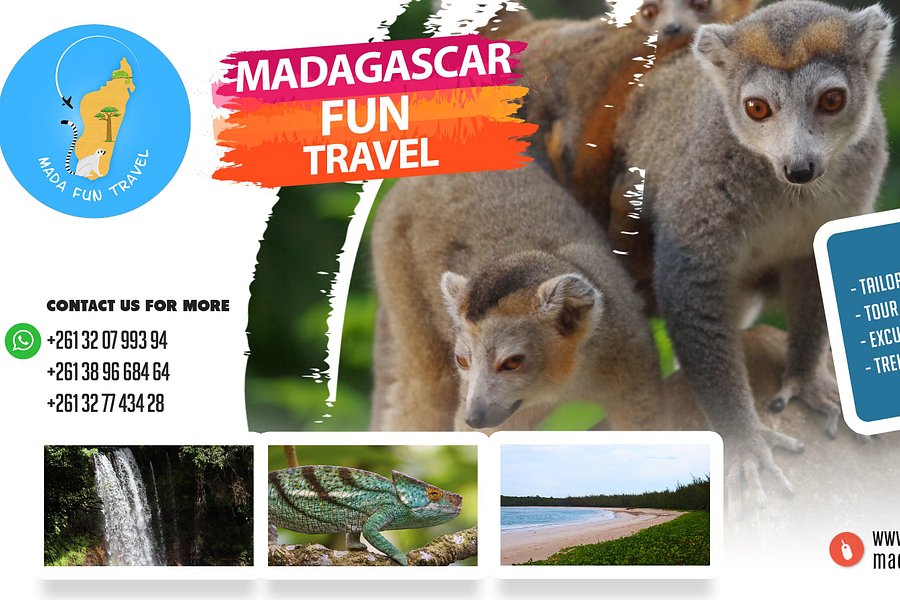 Madagascar fun travel image