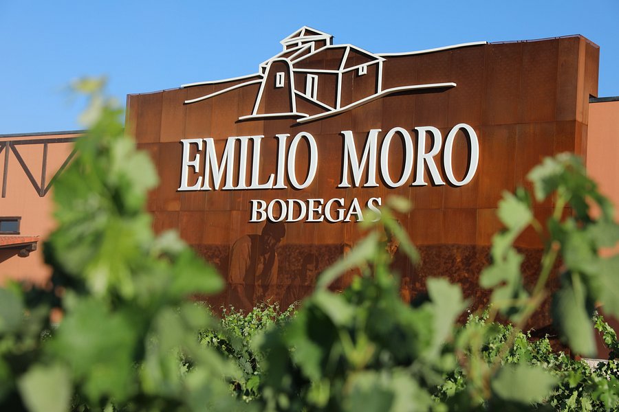 Emilio Moro Winery image