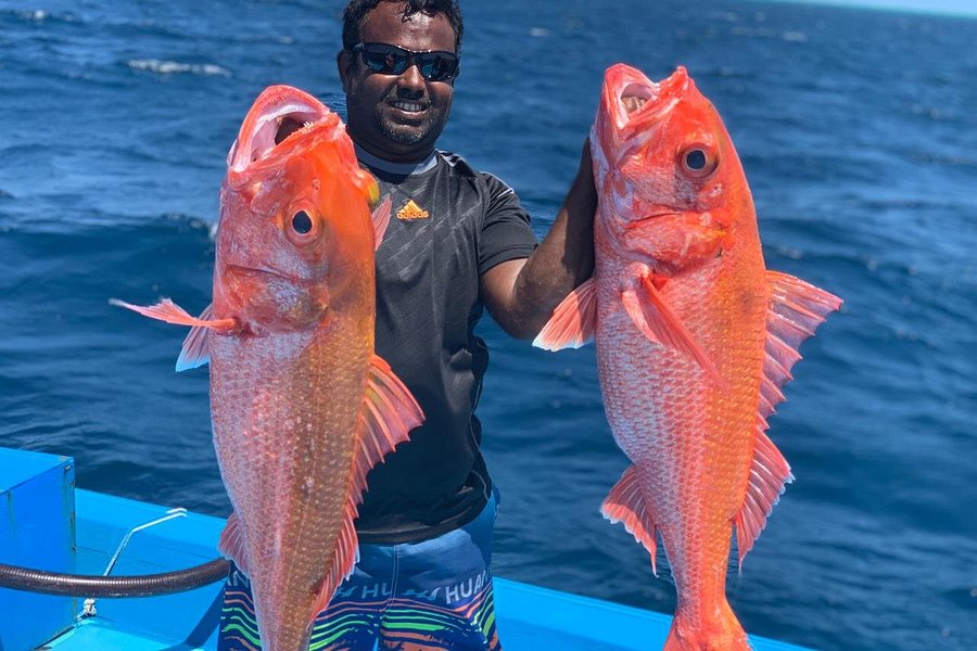 Game Fisher Maldives image