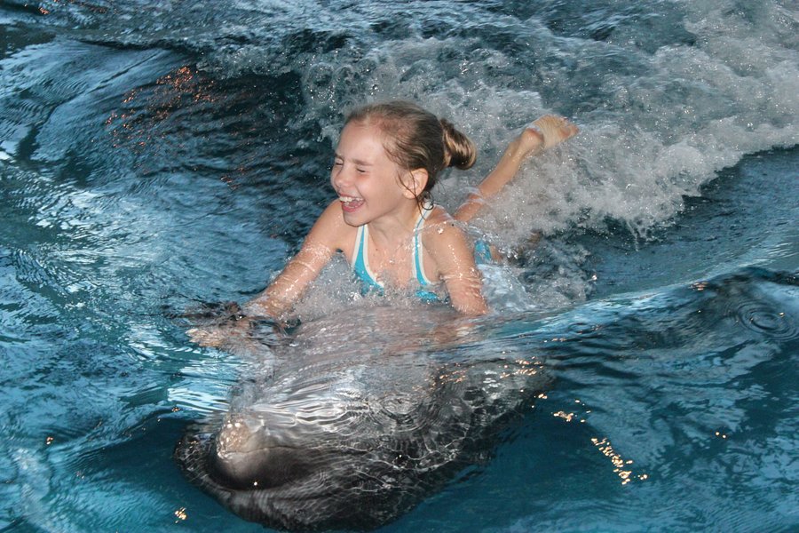 Dolphinarium Naberezhnye Chelny image