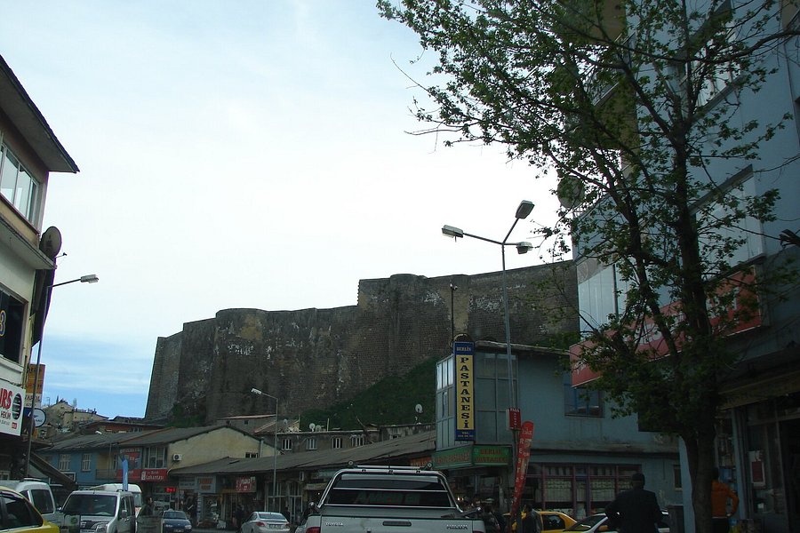 Bitlis Castle image