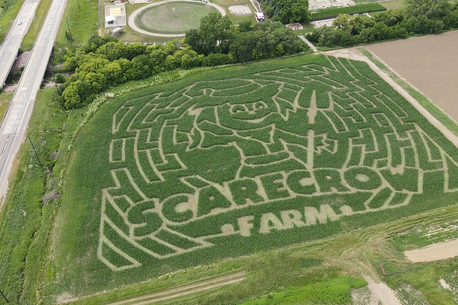 Scarecrow Farm image