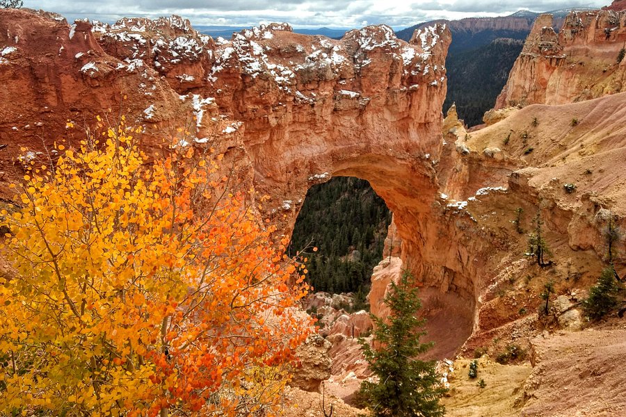 Bryce Canyon Scenic Tours image