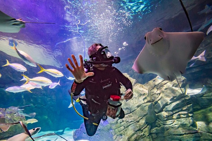 Ripley's Aquarium of Canada image