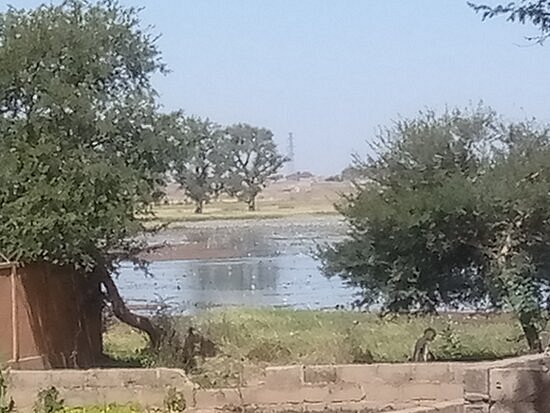 Zinder Wetlands In Zinder Niger Republic image