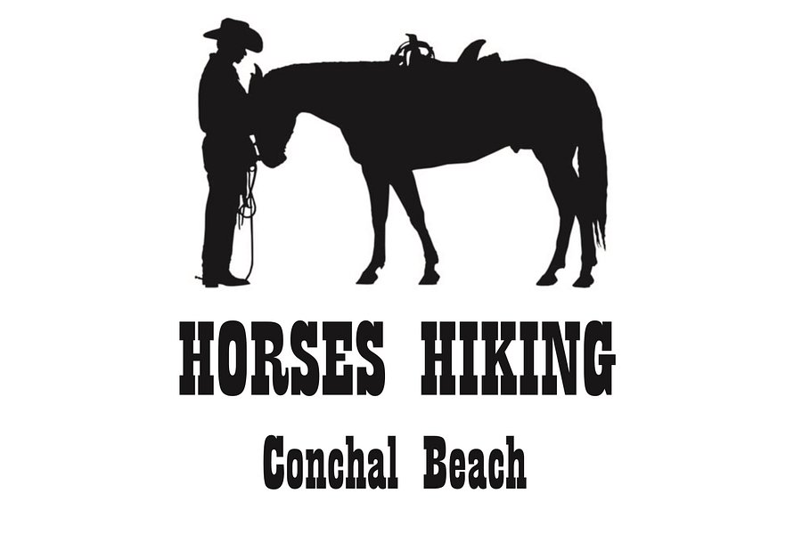 Horses Hiking Conchal Beach image
