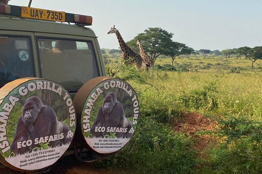 Ishamba Gorilla Tours and Eco-Safaris image