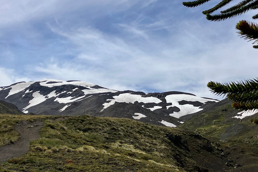 Parque Nacional Villarrica image