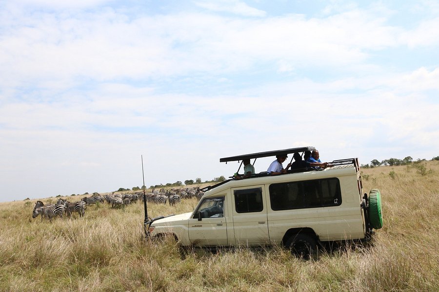 Morningstar Safaris image