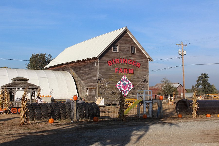 Biringer Farm image