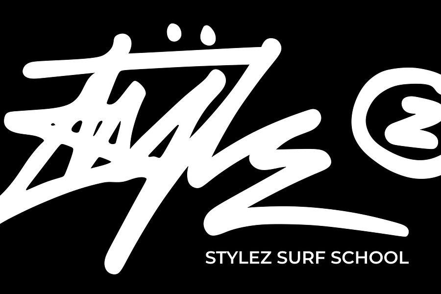 StyleZ Surf School image