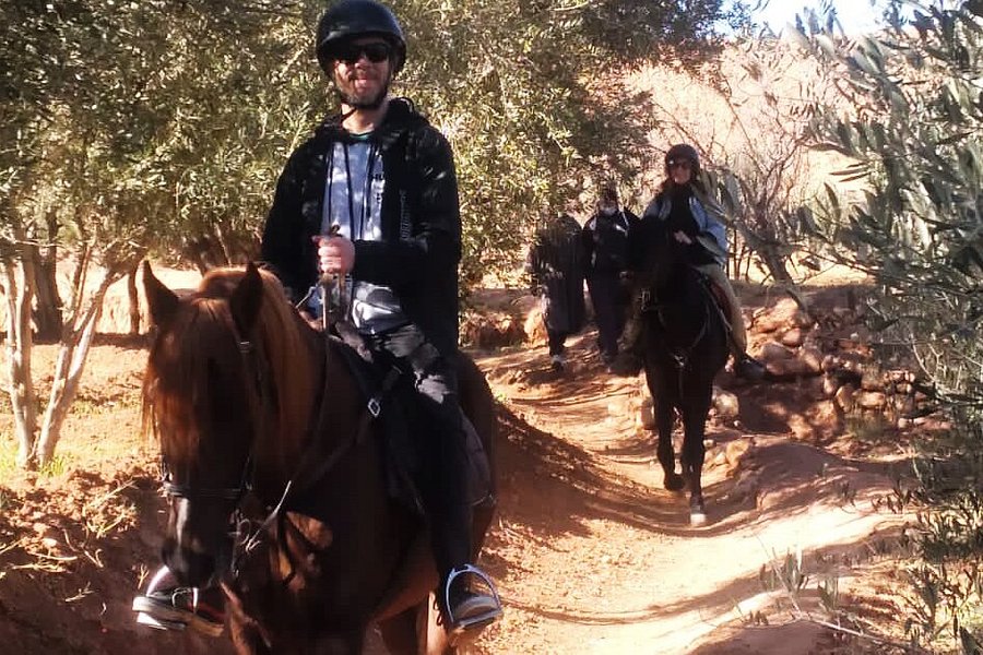 Morocco Horseback image