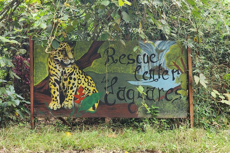 Los Jaguares Rescue Center image