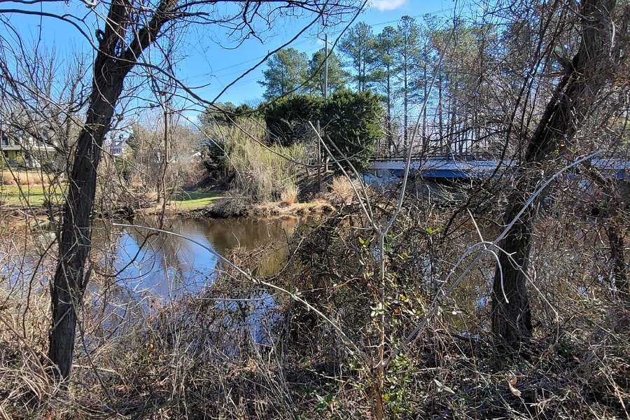 Chester River Water Trail image