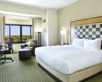 Hotel photo 56 of Hilton Orlando Lake Buena Vista - Disney Springs Area.