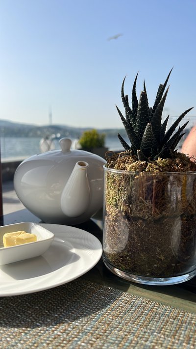 Hotel photo 4 of Mandarin Oriental Bosphorus, Istanbul.