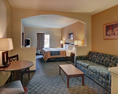 Hotel photo 21 of Quality Inn & Suites DFW Airport South.