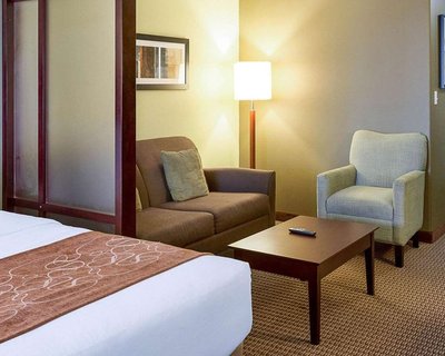 Hotel photo 15 of Comfort Suites Harvey - New Orleans West.