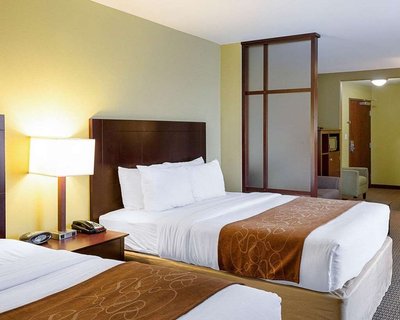 Hotel photo 13 of Comfort Suites Harvey - New Orleans West.
