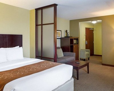 Hotel photo 5 of Comfort Suites Harvey - New Orleans West.