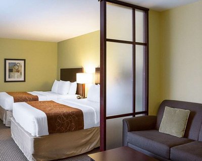 Hotel photo 18 of Comfort Suites Harvey - New Orleans West.