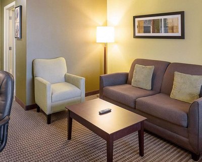 Hotel photo 14 of Comfort Suites Harvey - New Orleans West.