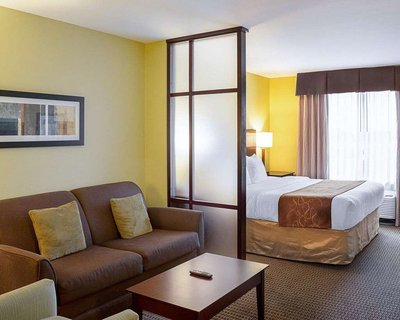 Hotel photo 7 of Comfort Suites Harvey - New Orleans West.