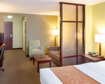 Hotel photo 19 of Comfort Suites Harvey - New Orleans West.