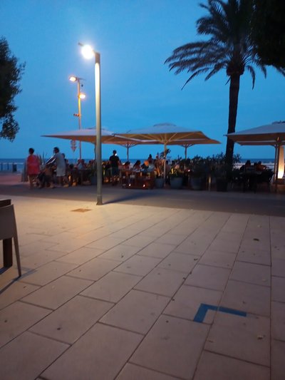 Hotel photo 15 of Grupotel Mallorca Mar.